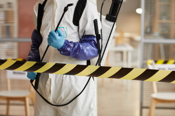 Professional Sewage Cleanup technician working in Frisco, CO